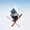 tiktok_osci