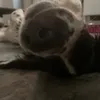 zxciope