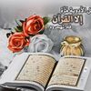 abou.mohammad12