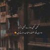 muhammad.hasan5486
