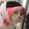 nurmusylman_