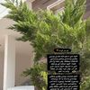 leen.bengharsa