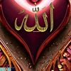 user919645883
