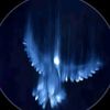 dartsqawe