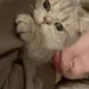 bannaa.1