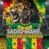 football_actu221