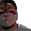 Dalex Vids