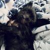 iryna.sheverdin
