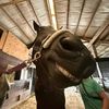 alyssa.eq3
