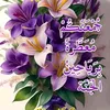 malikmaaroufi7