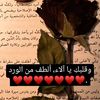 alaa.ahmed9475