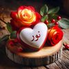 salaudeennurat33