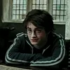 swx_potter