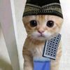 abdurrahman.abdul46