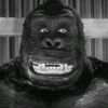 mono.korobo5