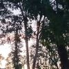 tamaulipas.com