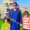 pashapasha9520