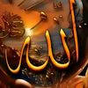 1164quranalkarim