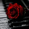 hamahz.n