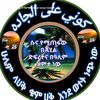 musbah.kemal4