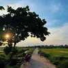 Nguyễn Tường Khánh