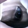 naotoihedoiid