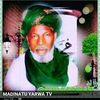 umarusmanmuhamma82