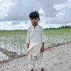 asghar45a5
