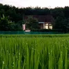 CẢNH CHILL MIỆT VƯỜN 🪴