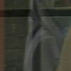 shrawilson