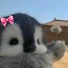 lebx_bintx1