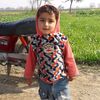 malik.haqnawa.phul