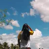 eddeilynsayre0