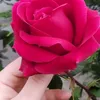user3322aertyu