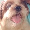 .irwan_72