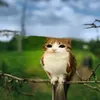 баунте @ #фиксабаунтиканон