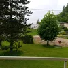 soultree66