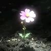 itsayesha878