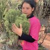 cambodai833