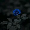 lanaiwl.sy