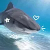 8.5_24.4_hehe