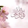 user6630231403610