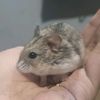 milo.hammy12