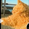 tokito2685_6tokito2685_