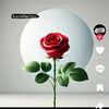 mehar.umer.mehar3