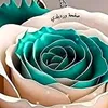 moot_630