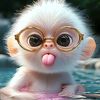 rdpeluche7