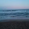 jaz27139