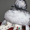 sillyseals8