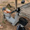 dudut_suka.kata.kata